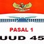 Pasal 28L Ayat 2